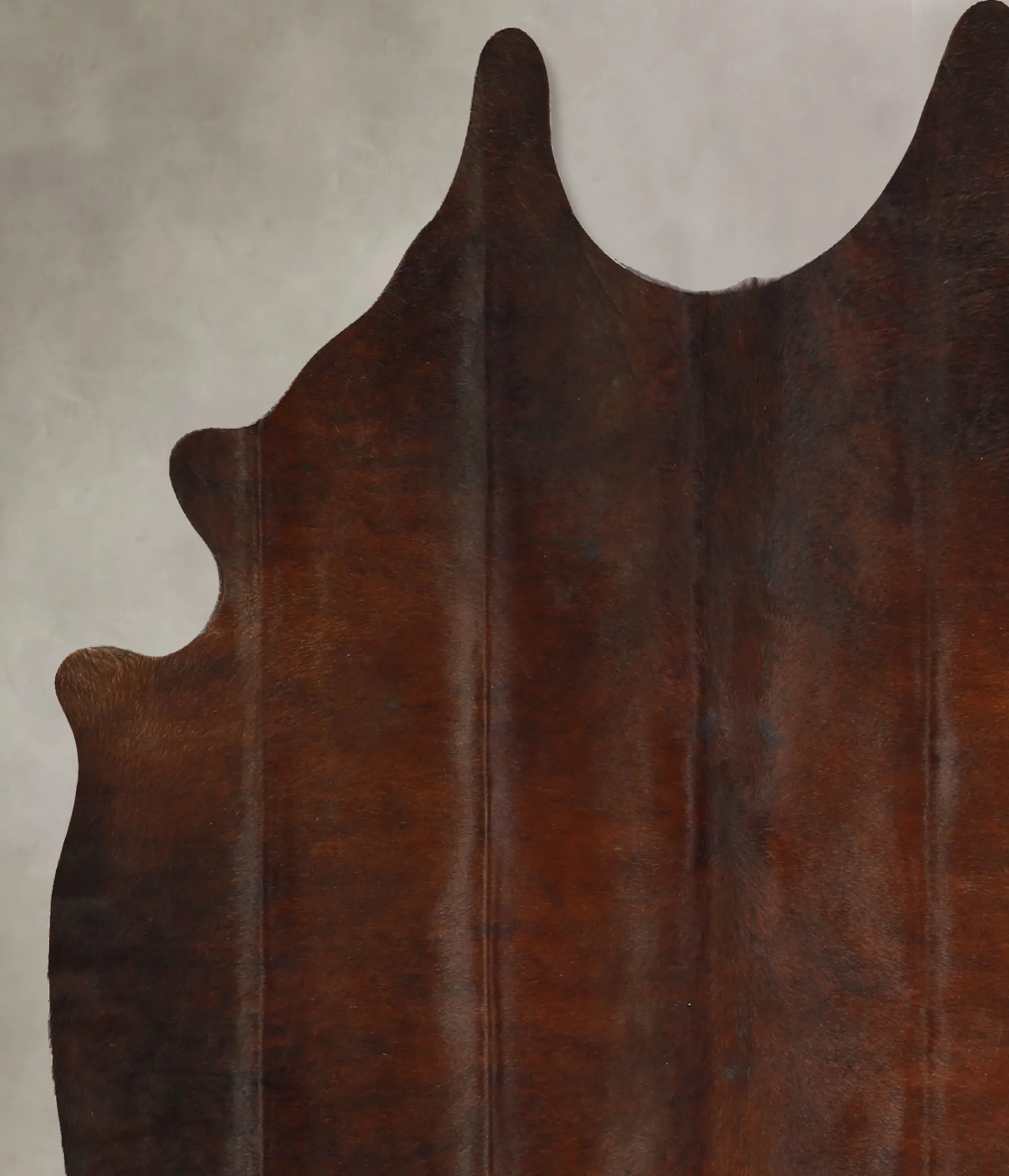 Warm Caramel Large Brazilian Cowhide Rug 6'4"H x 5'9"W #A35156 by Hudson Hides