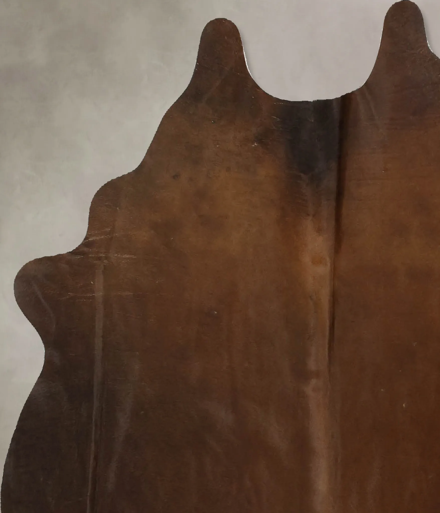 Warm Caramel Medium Brazilian Cowhide Rug 5'3"H x 4'5"W #B11050 by Hudson Hides